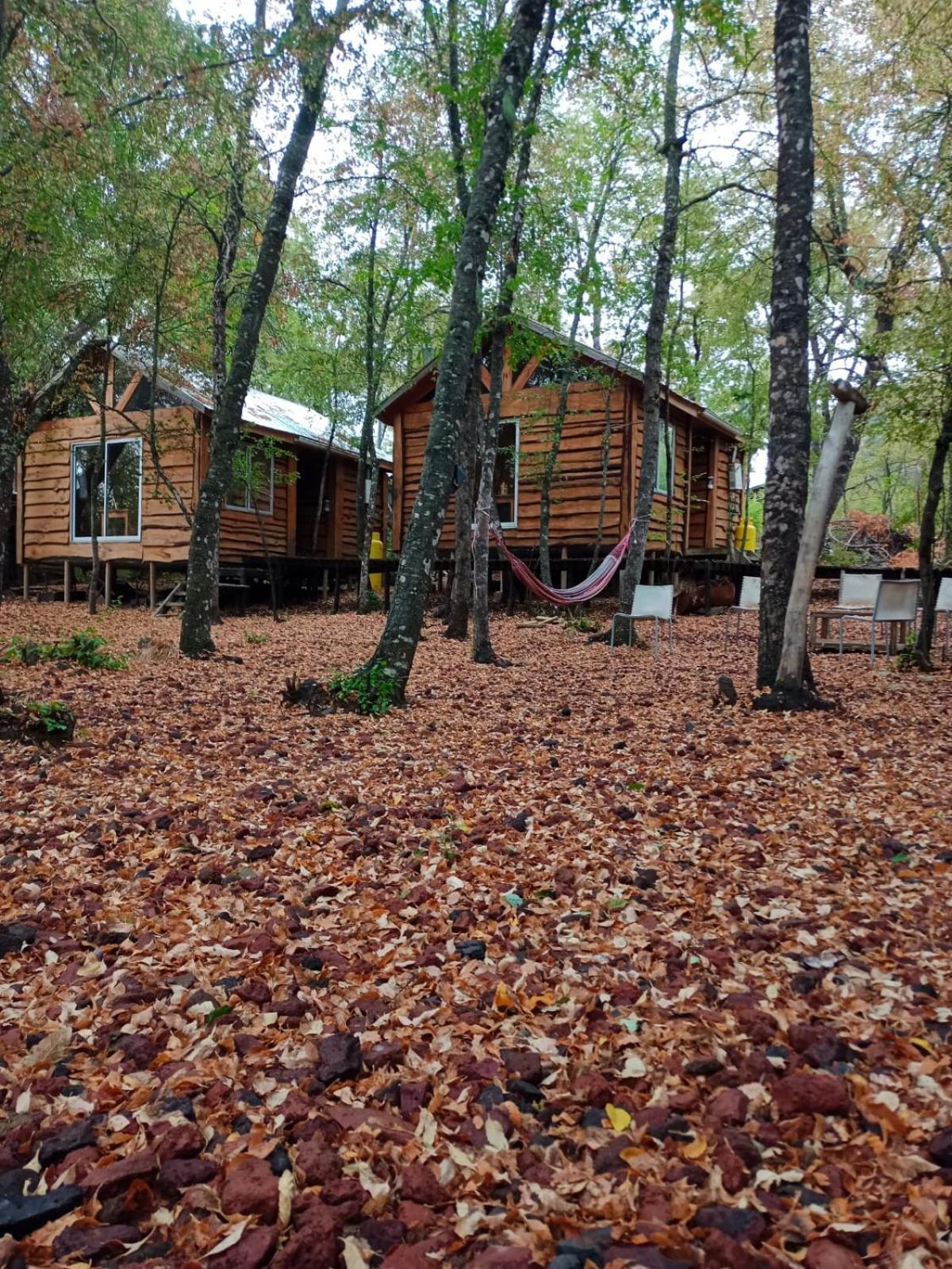 Cabanas Huilipan 라스 트란카스 외부 사진